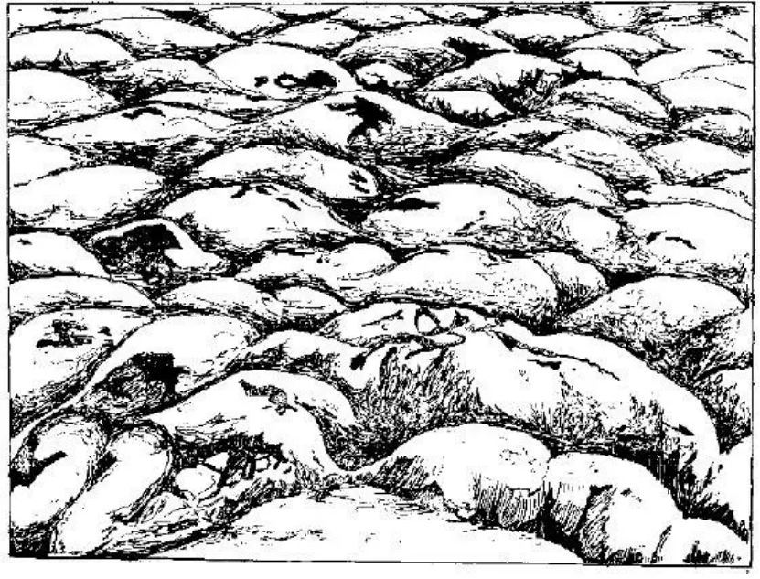 盤點(diǎn)各類地質(zhì)地貌類型-地?zé)豳Y源開(kāi)發(fā)-地大熱能